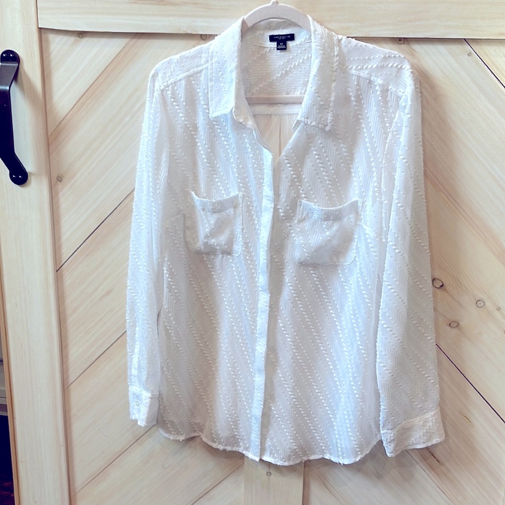 Ann Taylor white Sheer Blouse Size 12